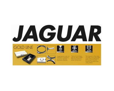 Jaguar Diamond E "Ceramic Fusion" 5.5" Gold Line Champion class scissor.